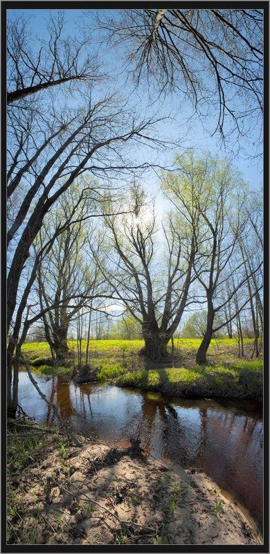 Графика весны фото превью