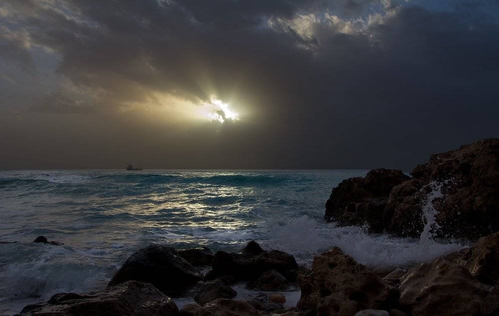 , Гамидов Мурад