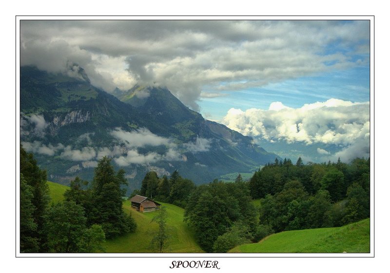 * * * фото превью