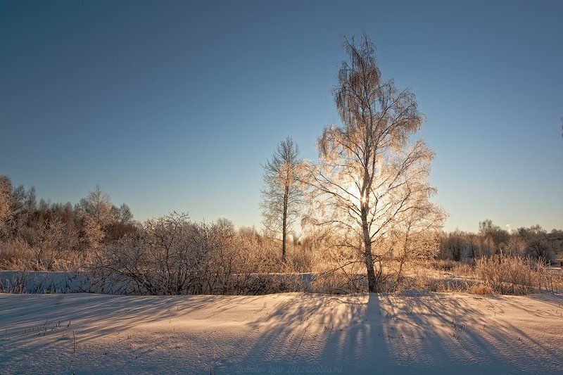 зима, Лучи, пейзаж, Солнце Зимний свет фото превью