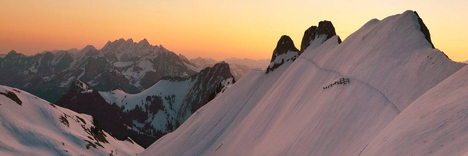 swiss, Матвеев Николай