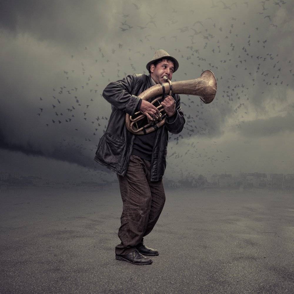 man, singer, trumpet, birds, flying, city, fog, mist, cloudy, rain, stand up, calling, Caras Ionut