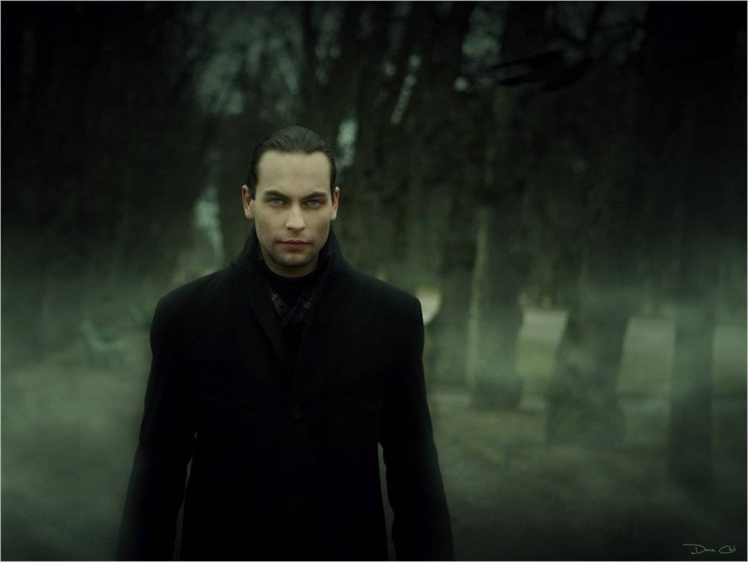 мужчина, аллея, туман, мистика, Darn Cat