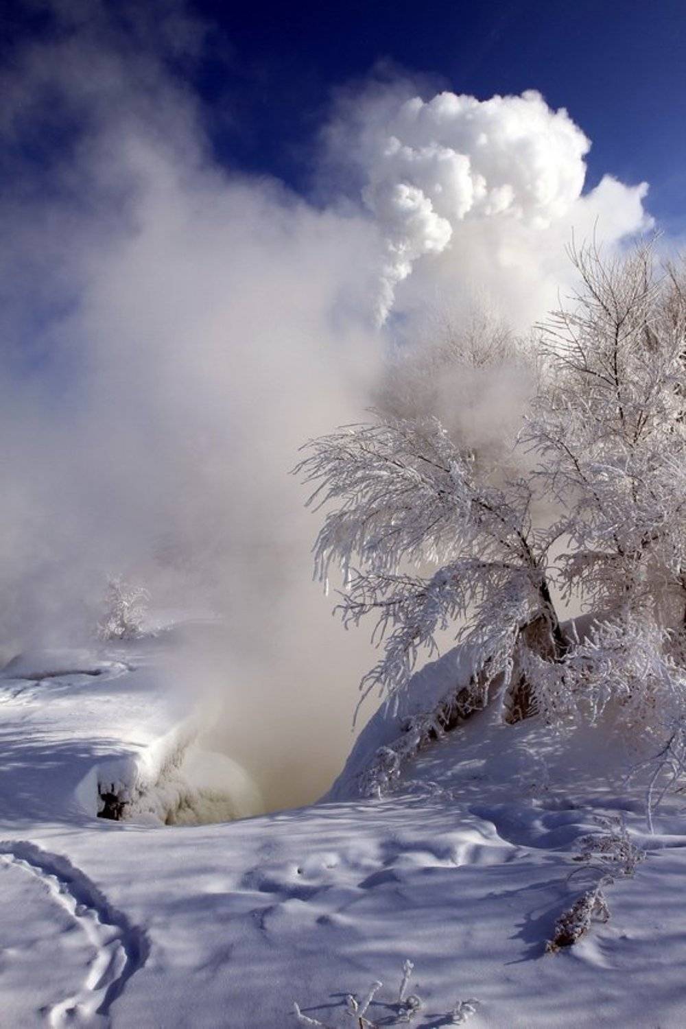 , Васенин Валерий
