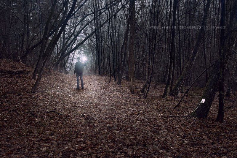 Wandering in the subconscious фото превью