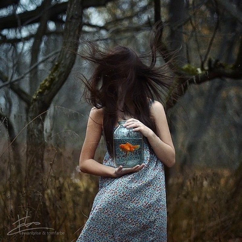 FirstFrame фото превью