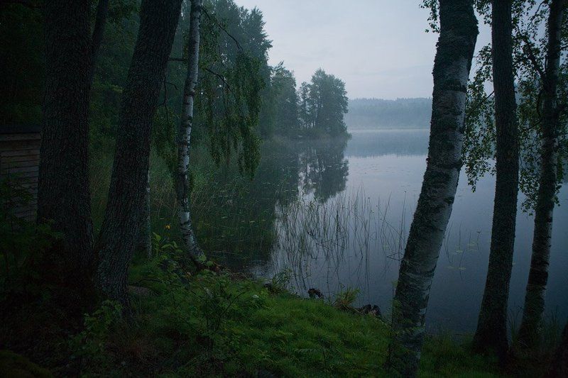 тишина Тишина фото превью