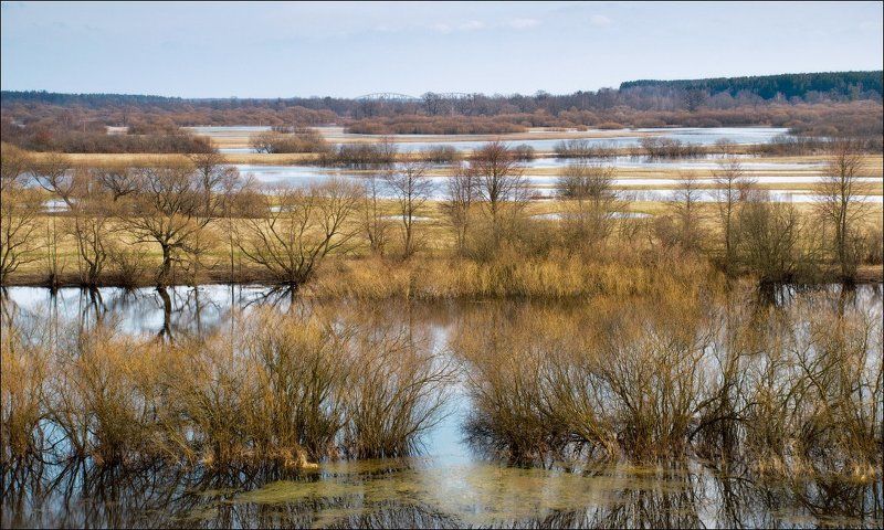 весна, березина, беларусь, река Весенние ритмы фото превью