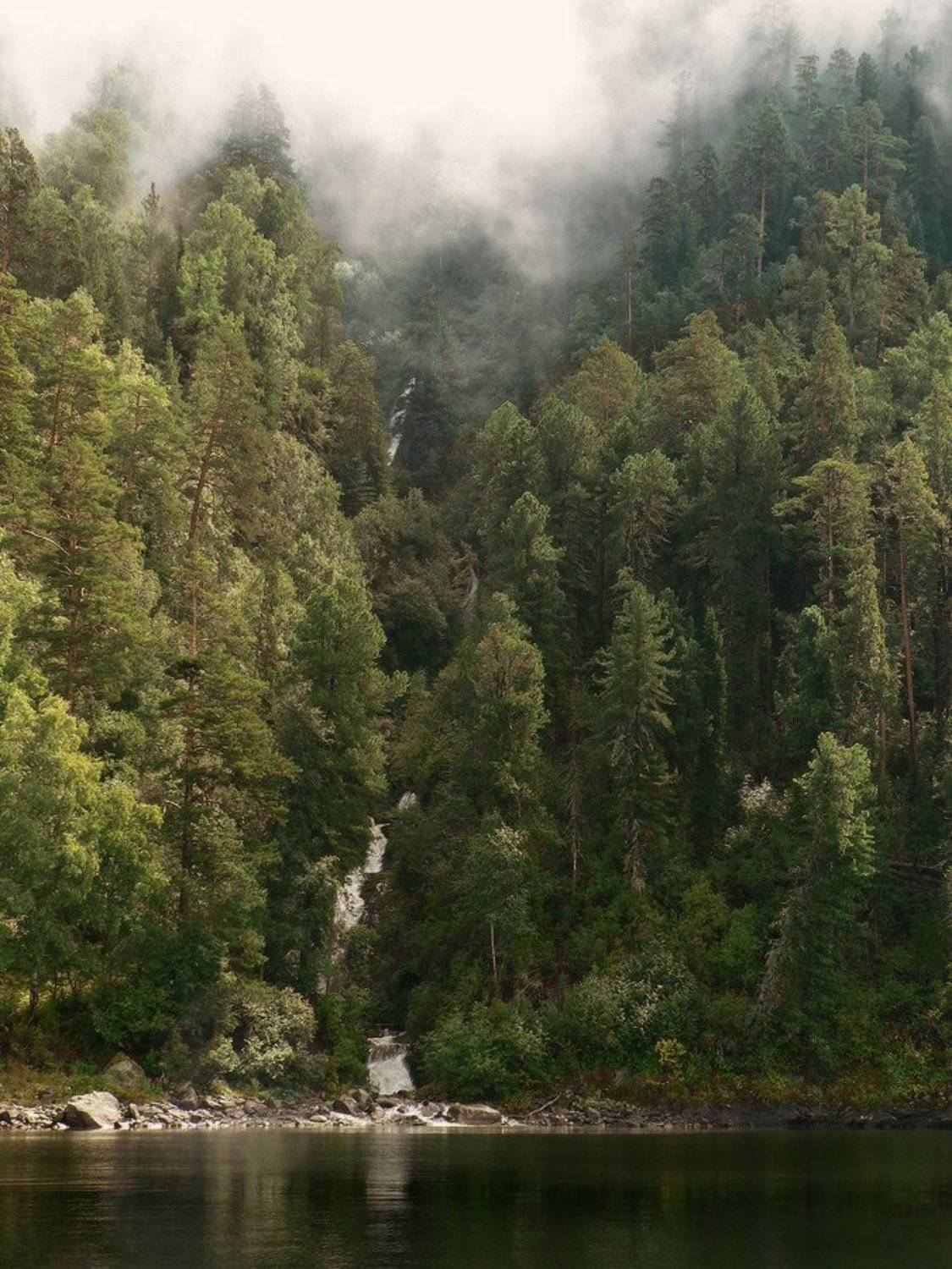 , Галина Хвостенко