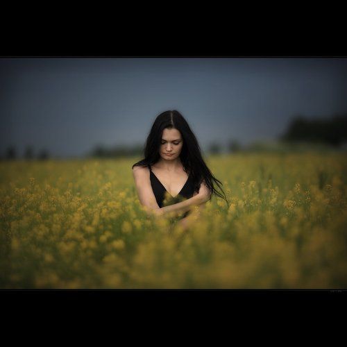 Heal My Wounds