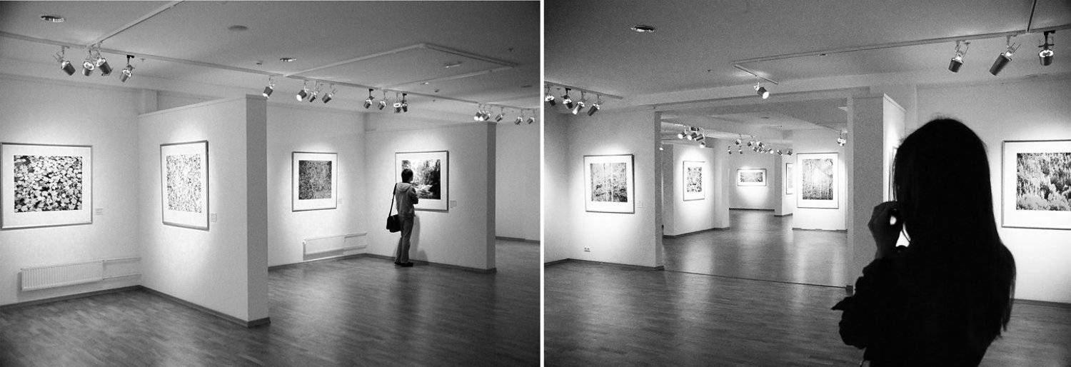 , Игнат Цоколаев