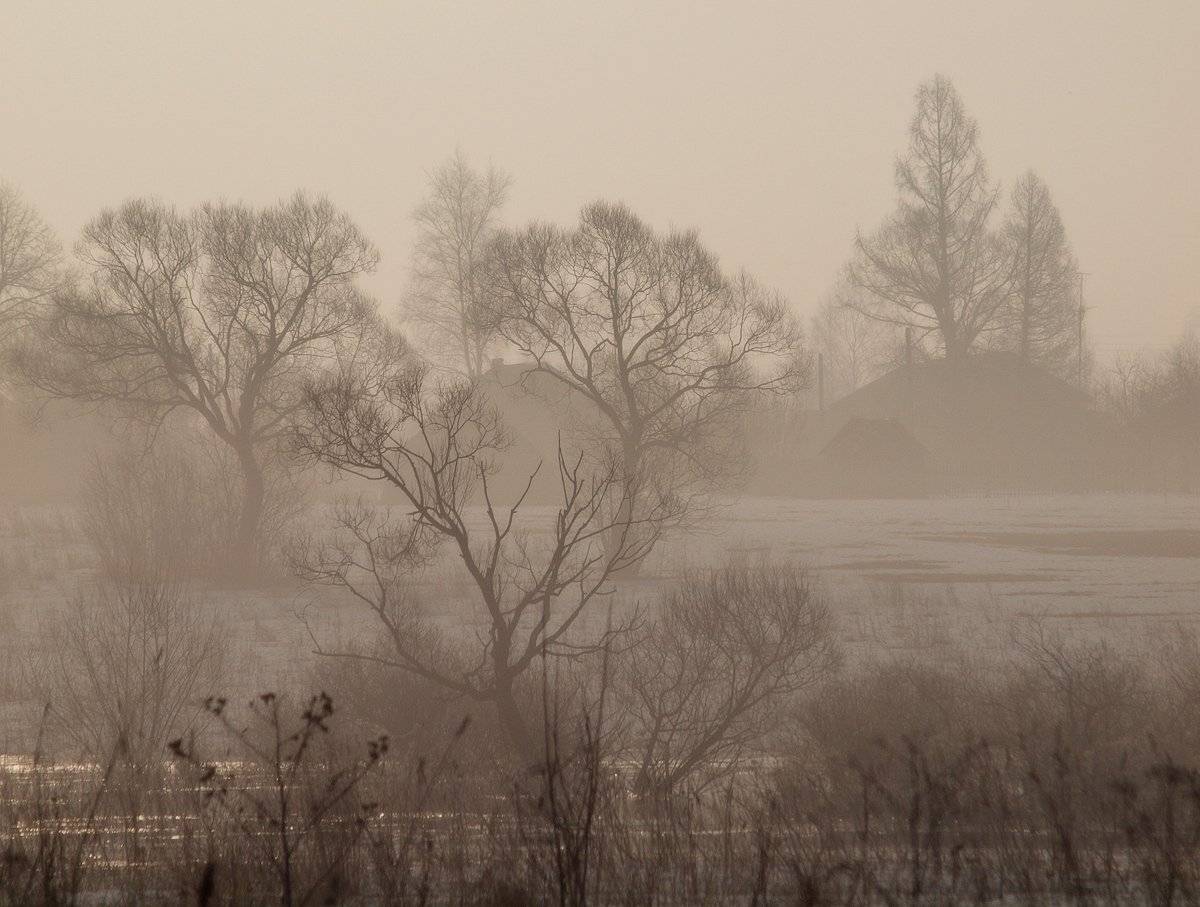 , Владимир Перепечаев
