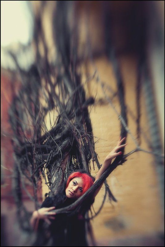 сон, ... сон ... фото превью