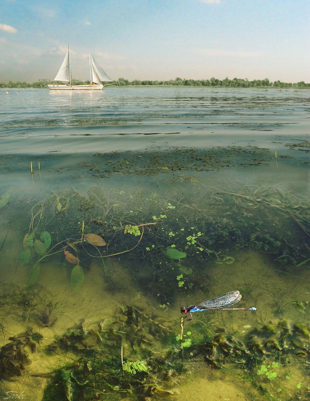 В Августе. фото превью