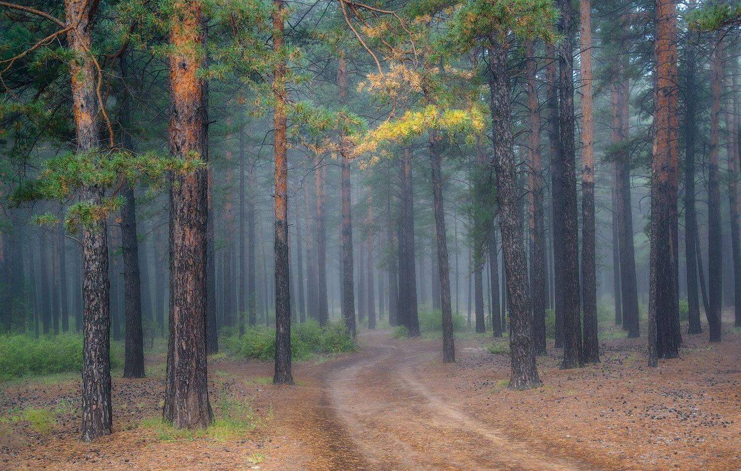 , Сергей Брагин