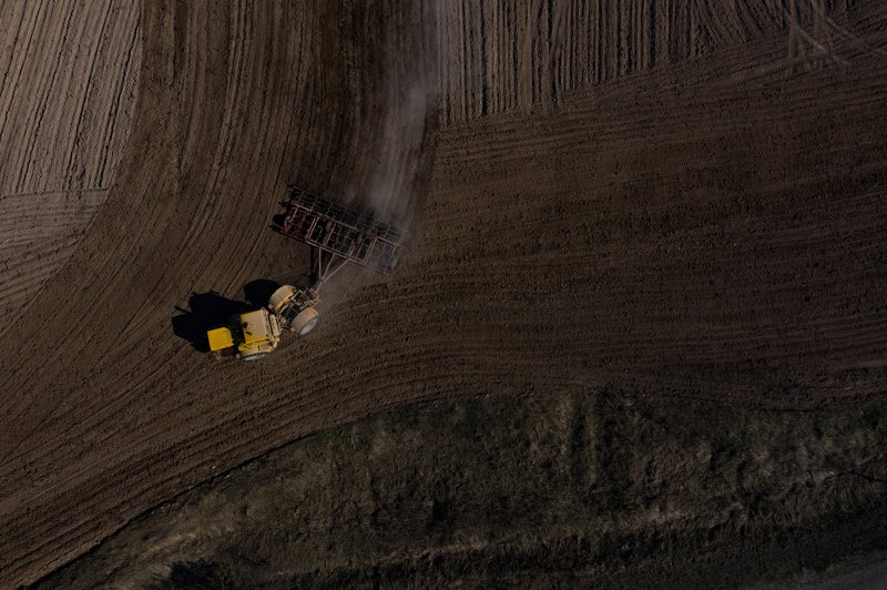 Без названия фото превью