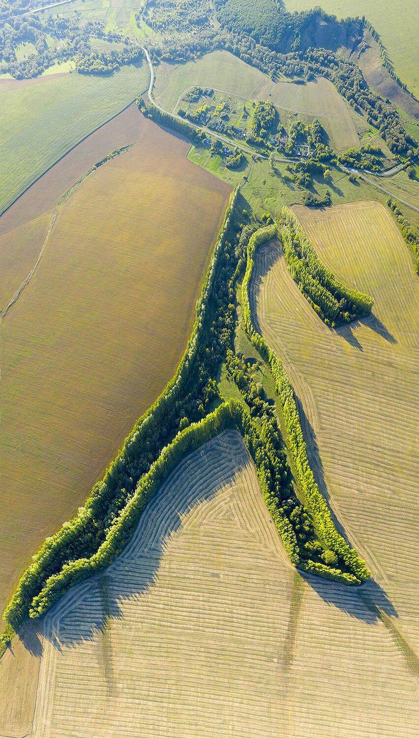 Россия, Тамбовская область, поля, коптер, дрон, пшеница, , Борис Резванцев