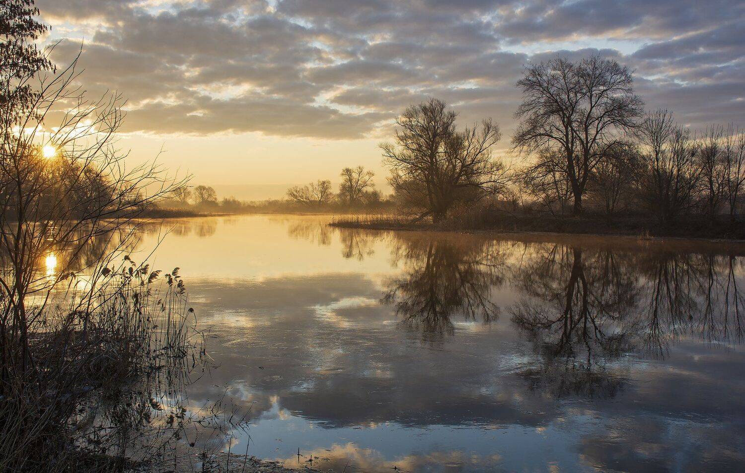 , Дмитрий Новоселов