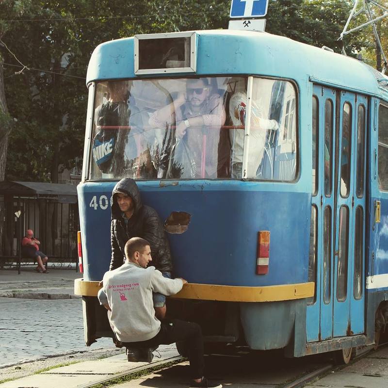 Зайцы  фото превью