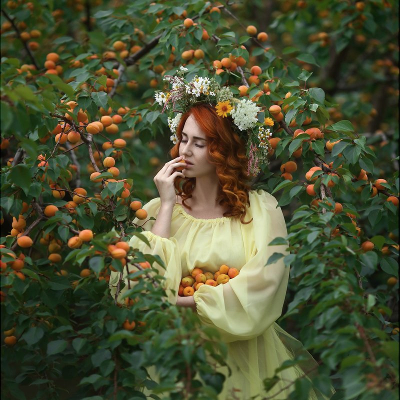 Apricots, абрикосы, желтое платье, рыжие волосы, девушка в венке, сборщица абрикос, рыжие локоны, абрикосы на ветке Абрикосы / Apricots фото превью