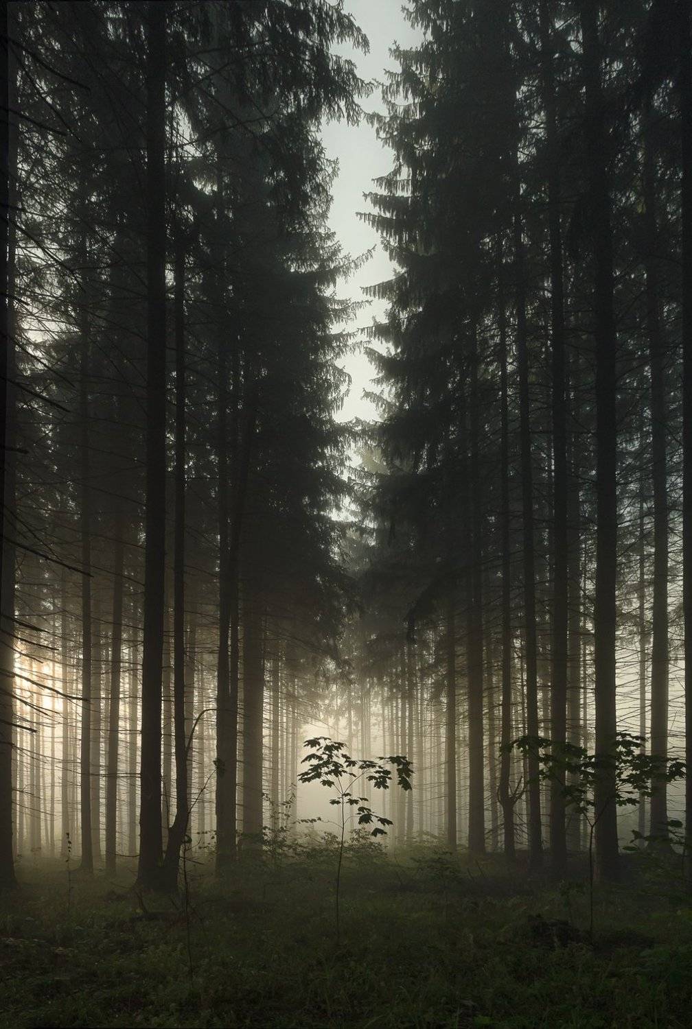 , Баранов Олег