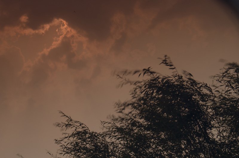 about summer time фото превью