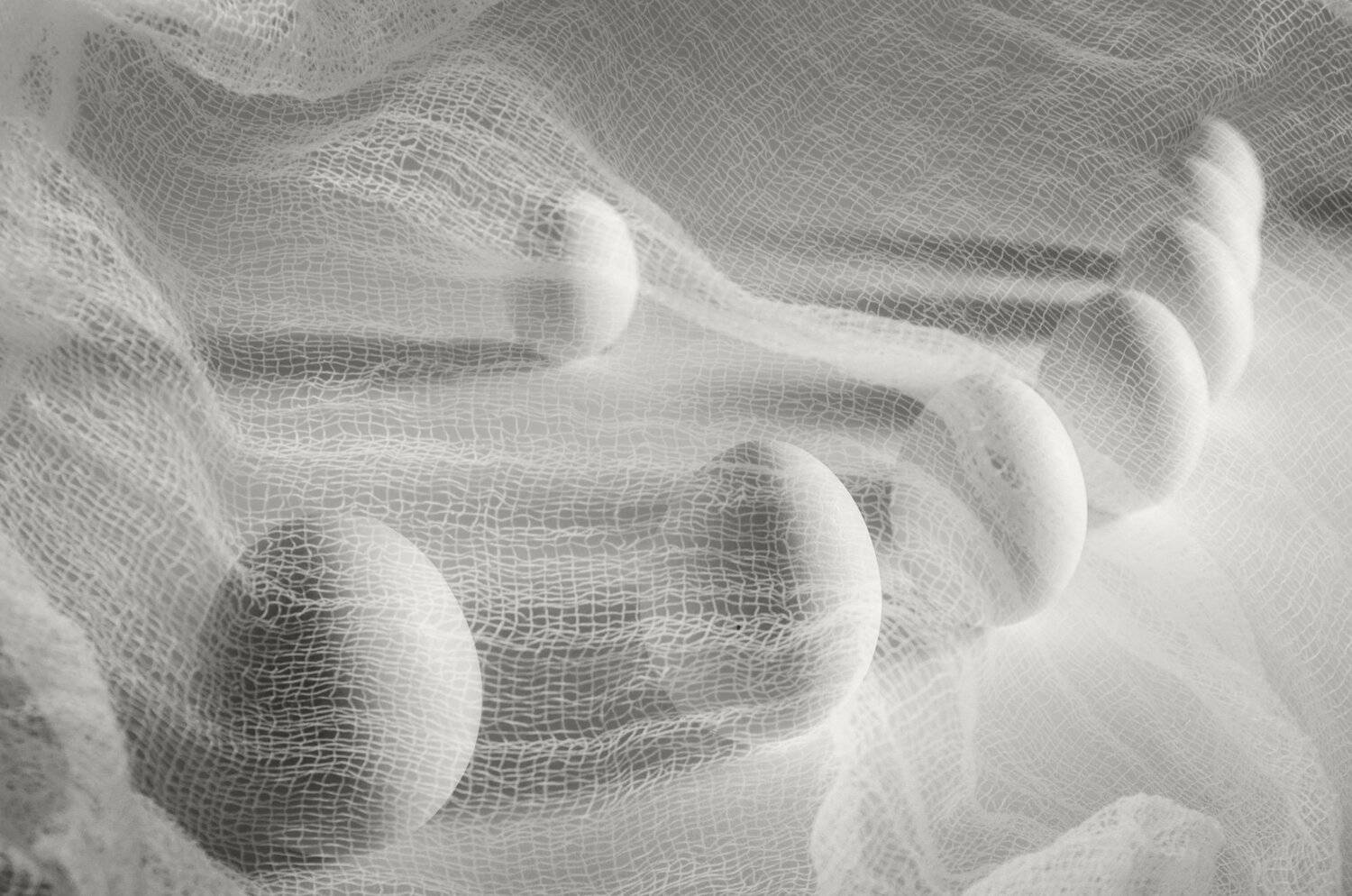 , Anastasiya Kostyleva