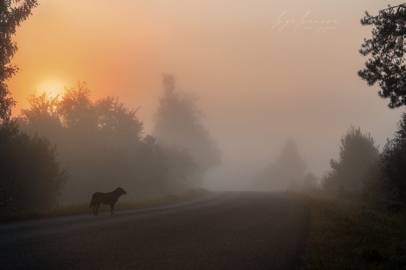 белая, радуга, -, осень, пришла осень пришла фото превью