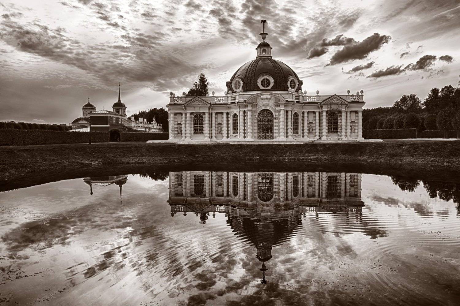 , Алёна Сурнина