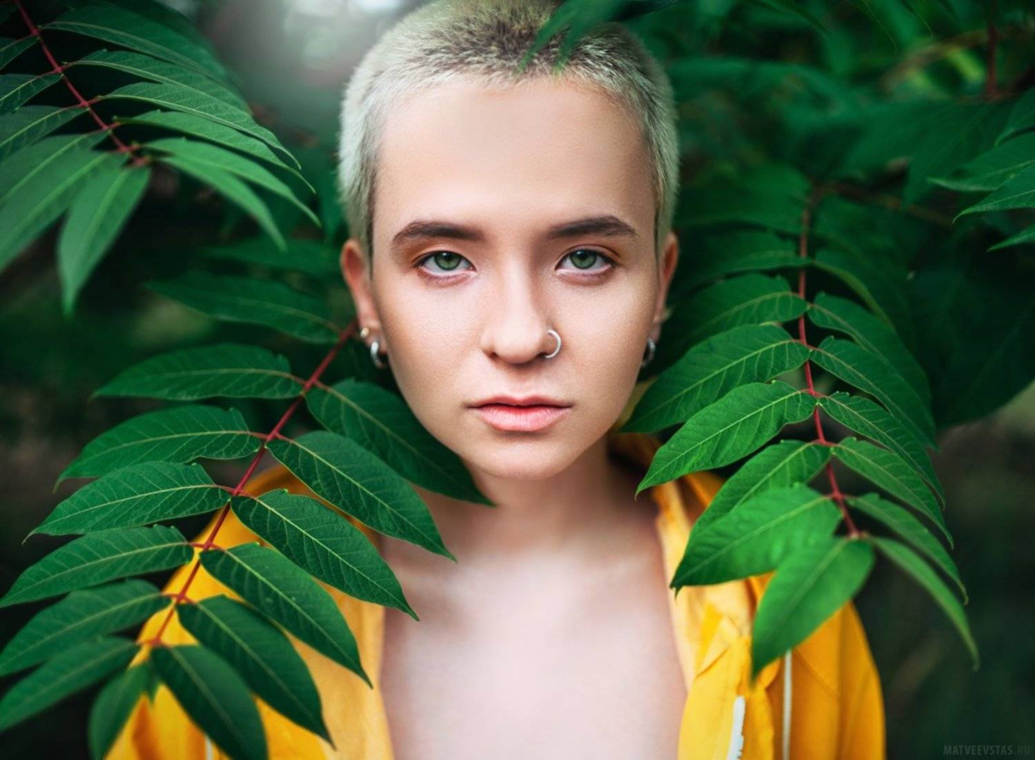 , Матвеев Стас