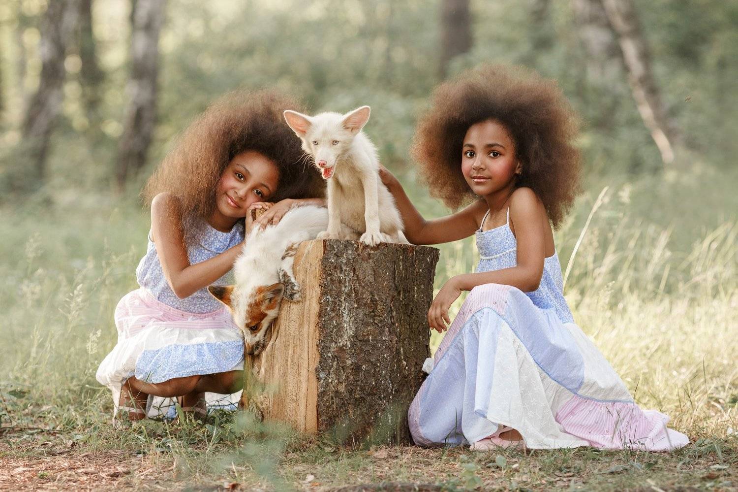 лисы, Светлана Никотина