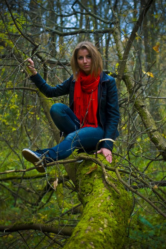 berendey moss фото превью