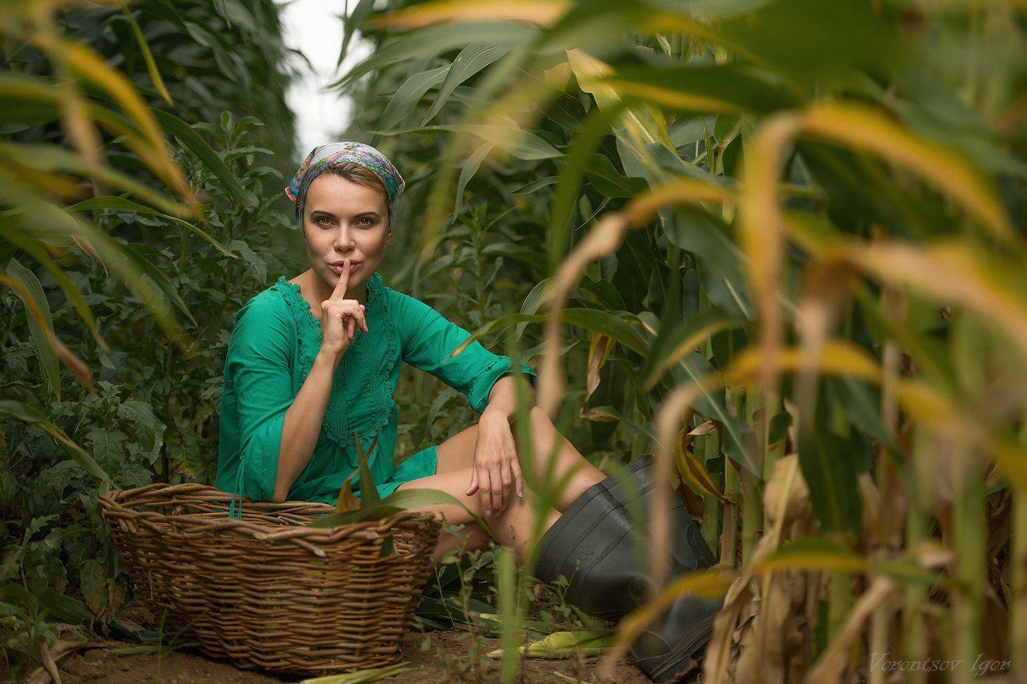 девушка, красивая, кукуруза , поле, селянка, Воронцов Игорь