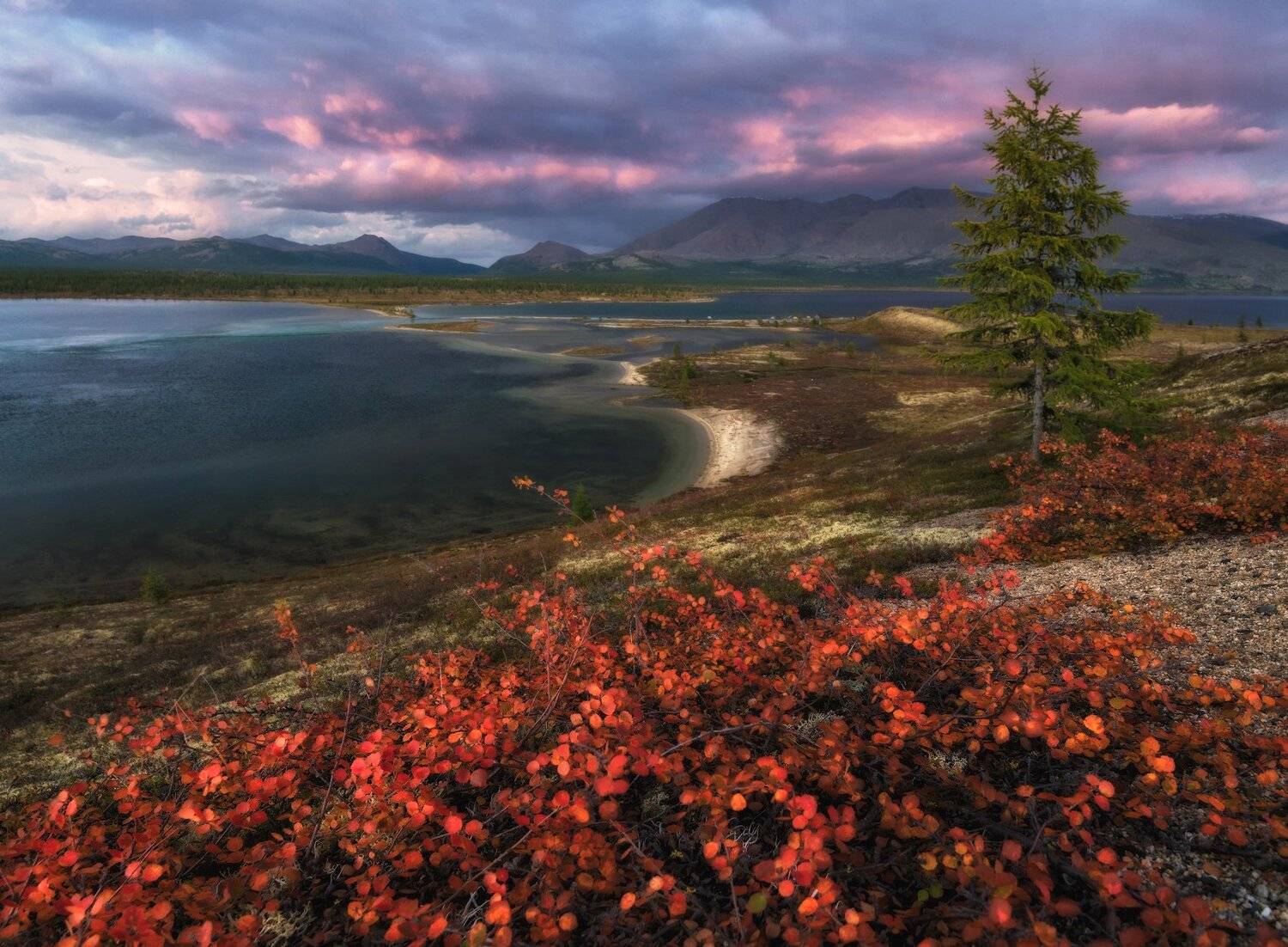 колыма, момонтай, Андрей Грачев