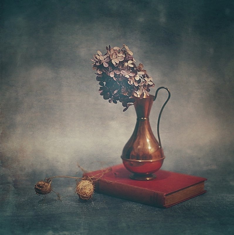 ... z hortensją фото превью