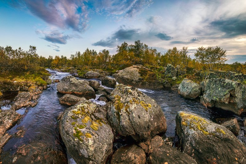 ..... фото превью