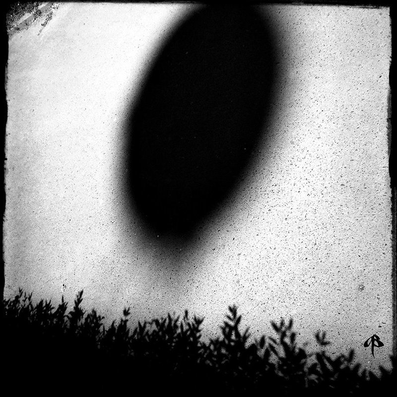 Black Hole Sun фото превью