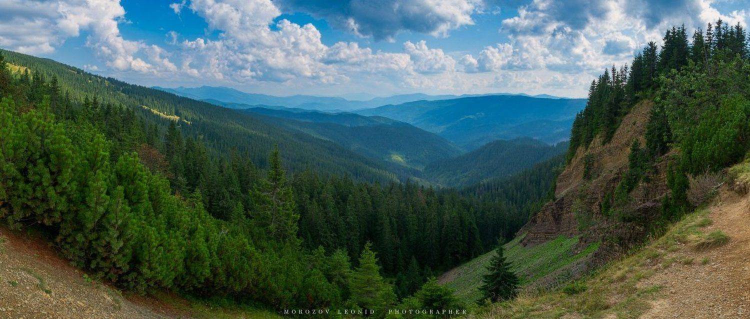 #landscape, #nature, #scenery, #forest, #wood, #autumn, #mist, #misty, #fog, #foggy, #river, #waterfall, #longexposure, #mountain, #vitosha, #bulgari, #aтуман, #лес, #oсень, Леонид Морозов