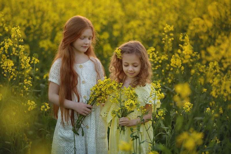 детский портрет, дети, детская фотография, рапсовые поля, желтые поля, рапс, цветы РАПСодия фото превью