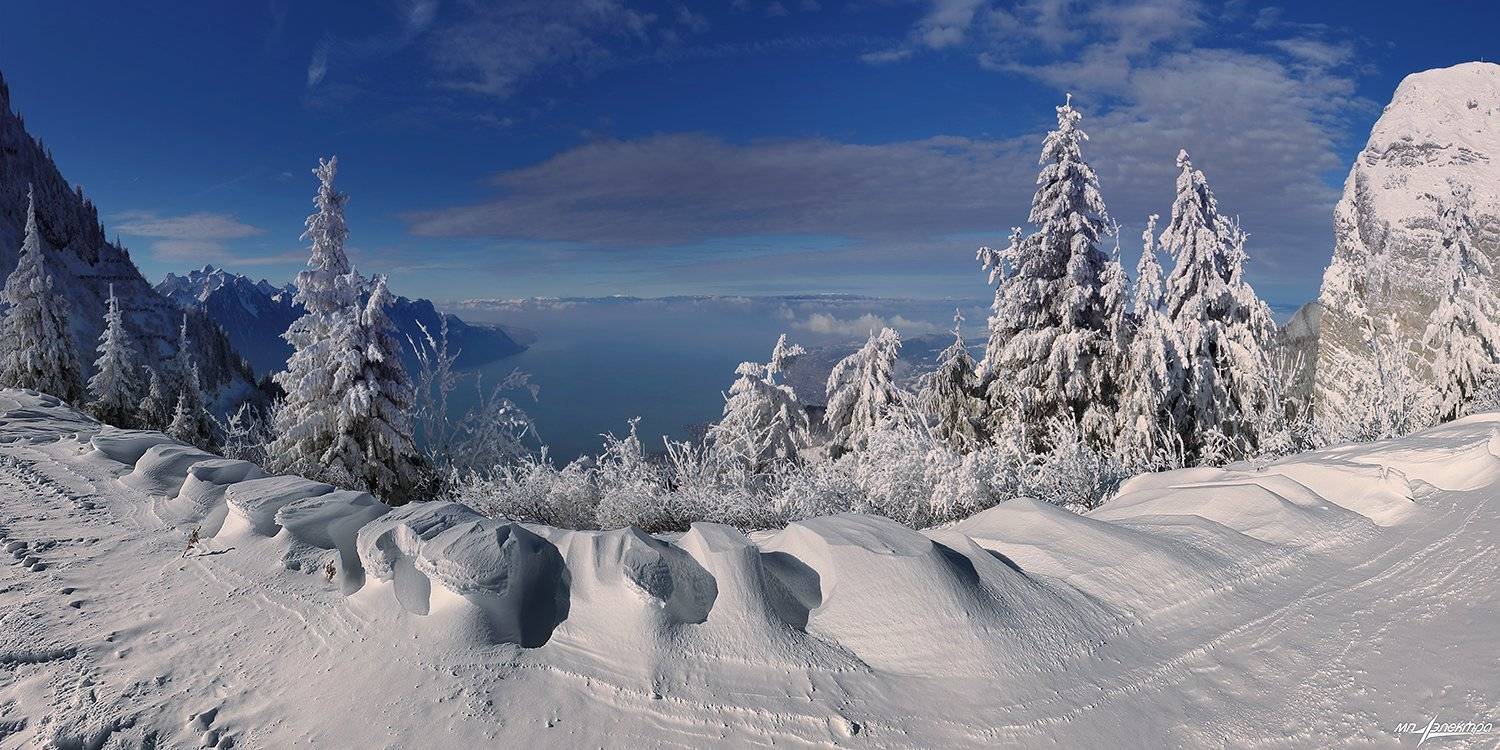 swiss,швейцария,зима,женевское озеро, Матвеев Николай
