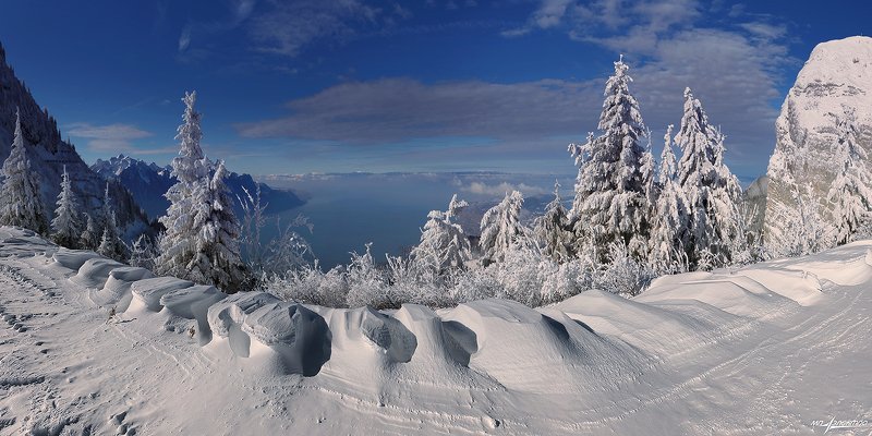 swiss,швейцария,зима,женевское озеро Зима.. фото превью