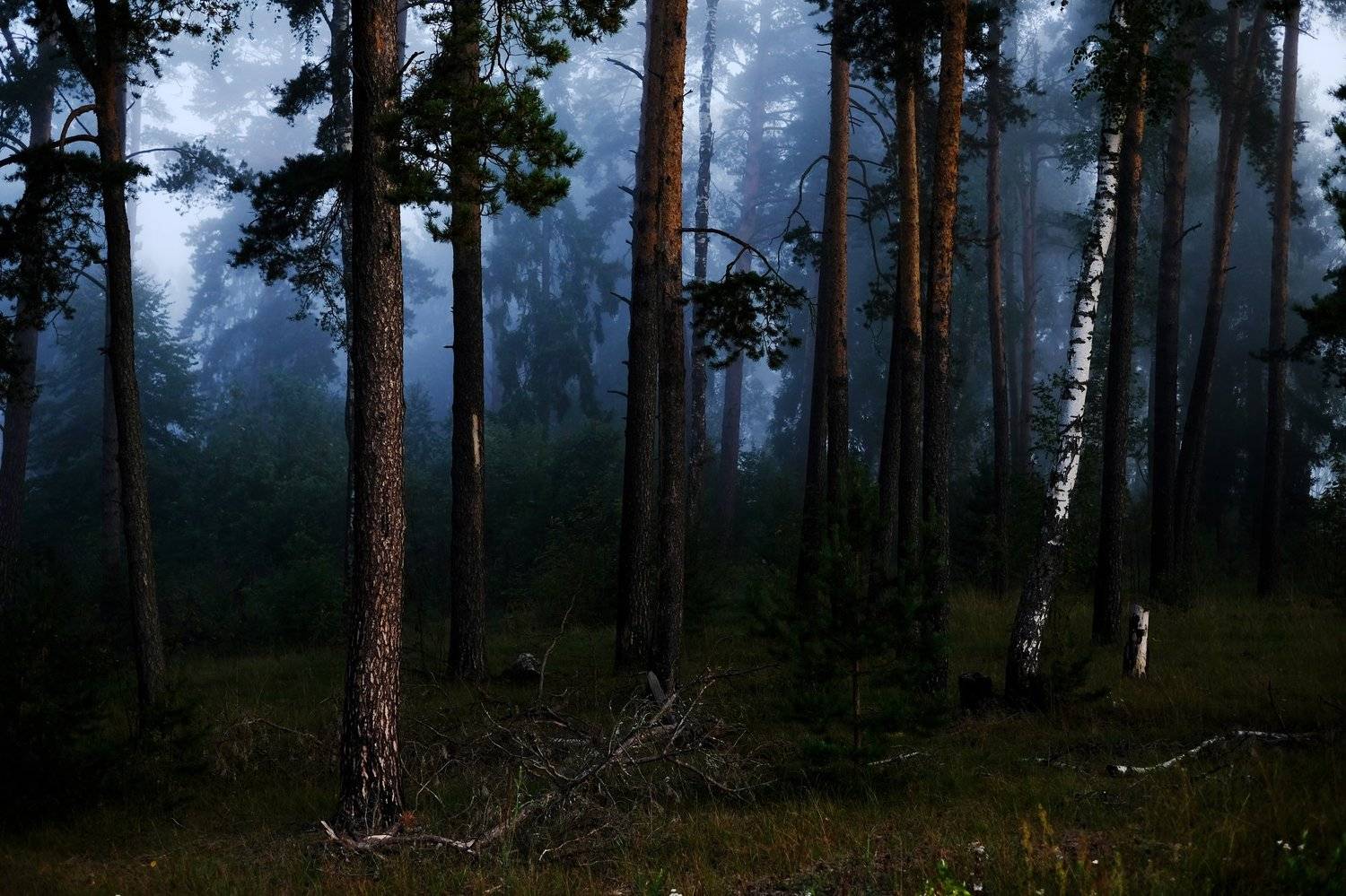 , Дмитрий Демидов