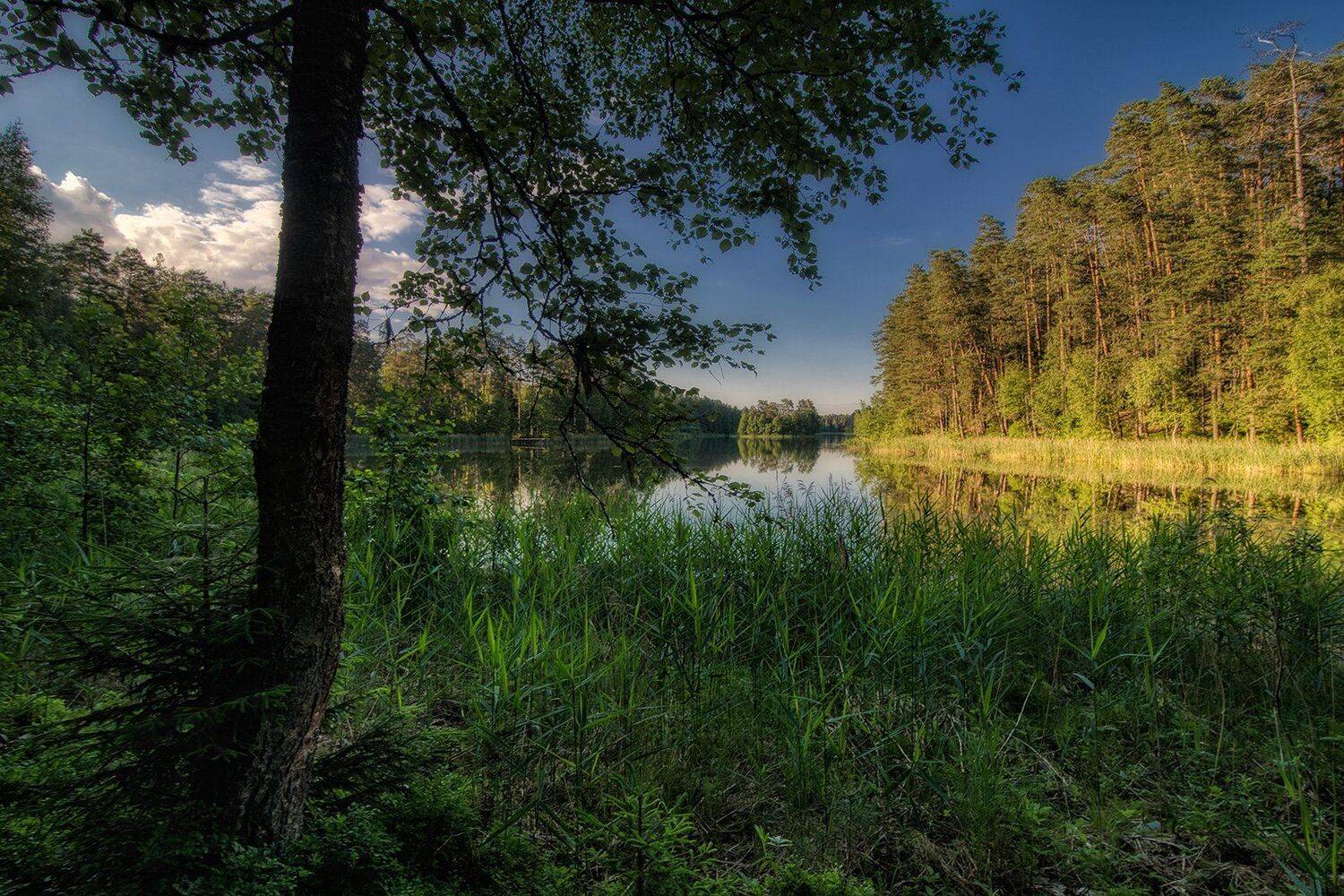 , Федотов Антон