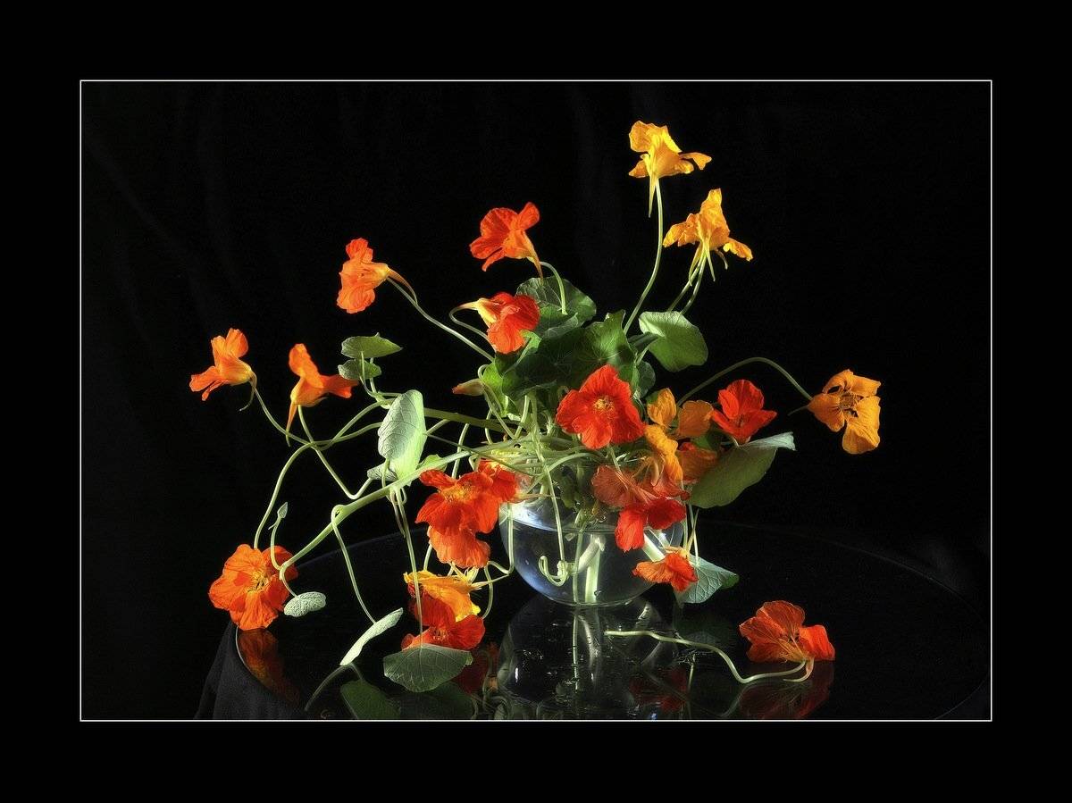 сергей алексеев, Сергей Алексеев