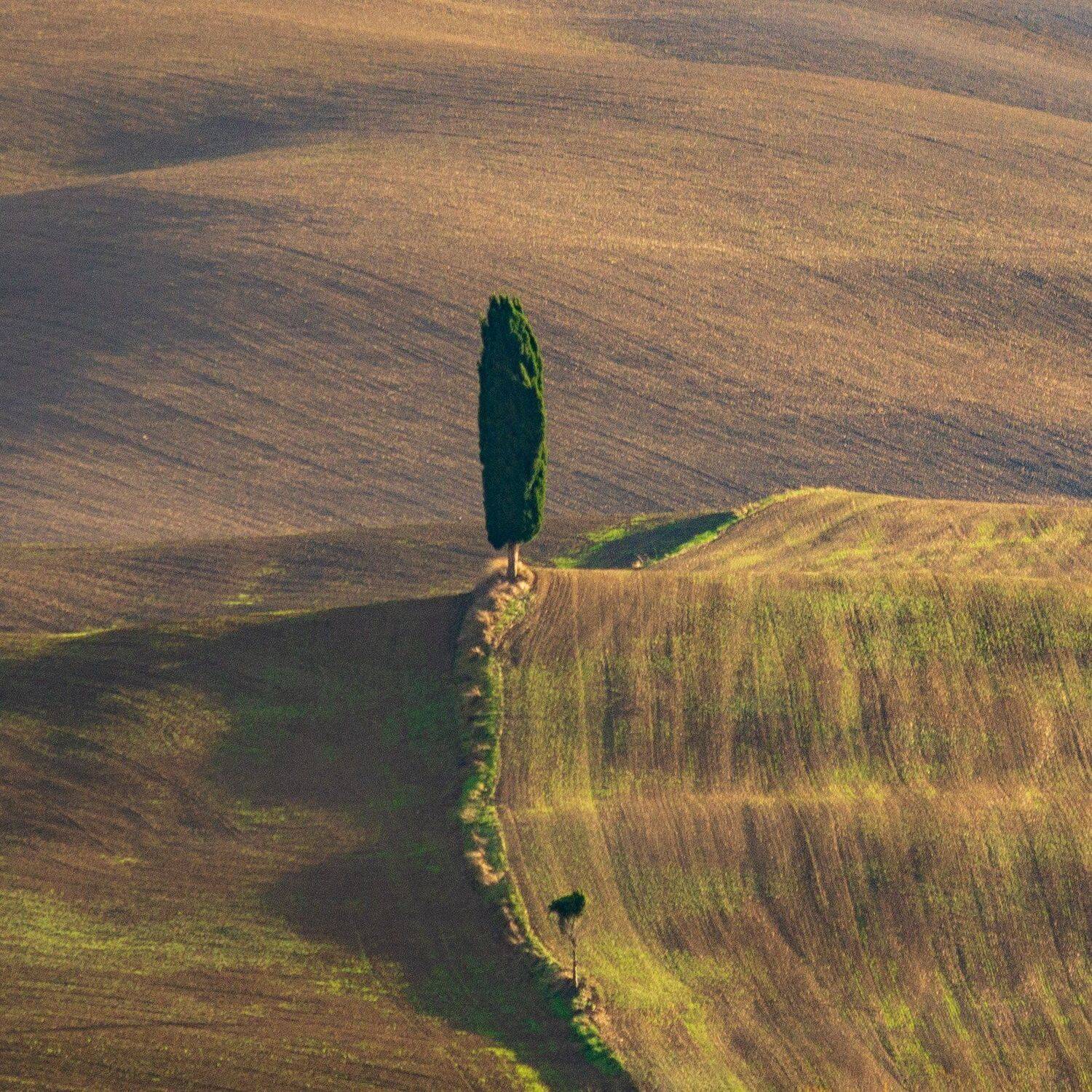 tuscany, тоскана, минимализм, Исаков Дмитрий