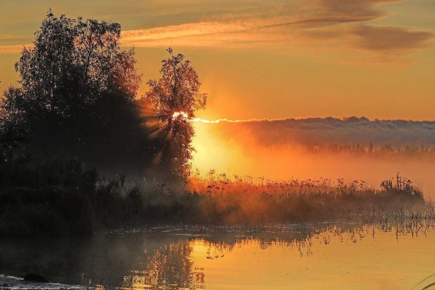 ленинградская обл,оз.волоярви,рассвет,туман,солнце, alexOmRam