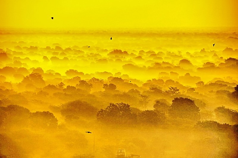 Morning Sadargar India фото превью