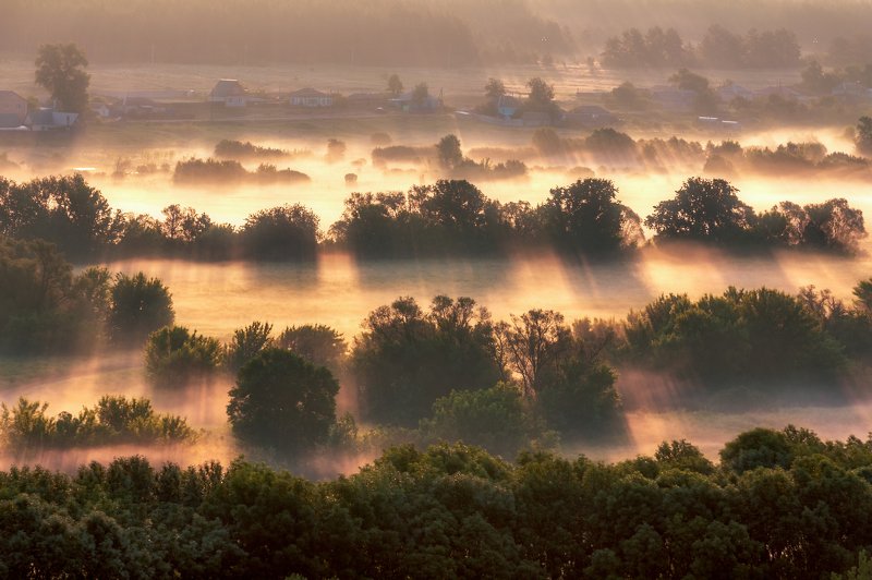 haze, mist, morning, sunrise, dawn, дымка, туман, утро, рассвет Morning Haze фото превью