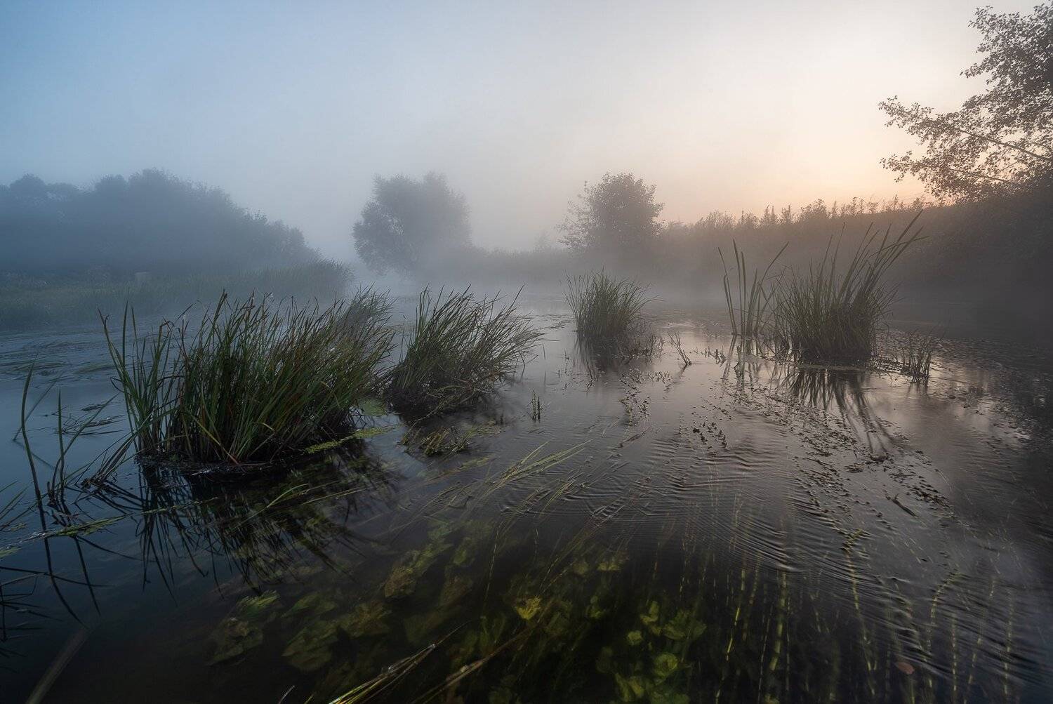 , Александр Бредихин