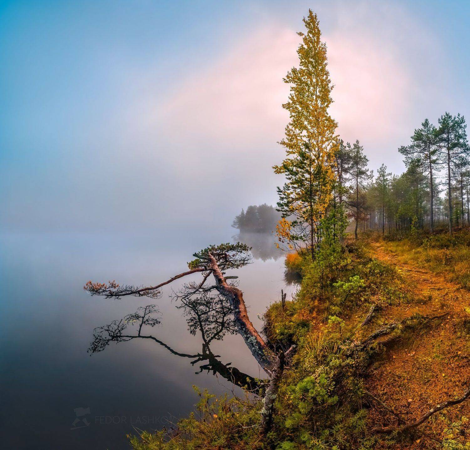 ленинградская область, сосна, отражение, покой, озеро, осень, небо, облака, рассвет, туман, берёза, дерево, берег,, Лашков Фёдор